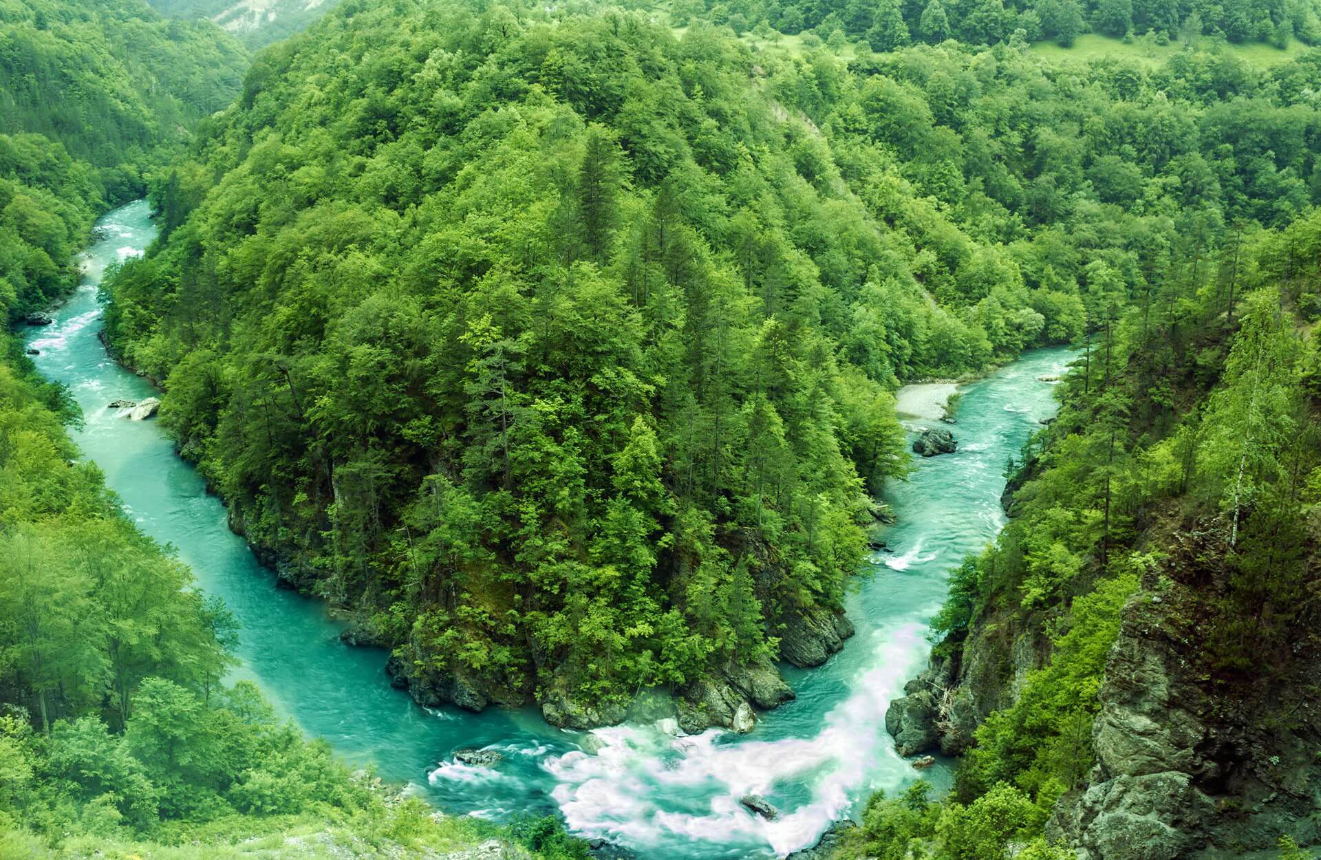 Biogradska Gora